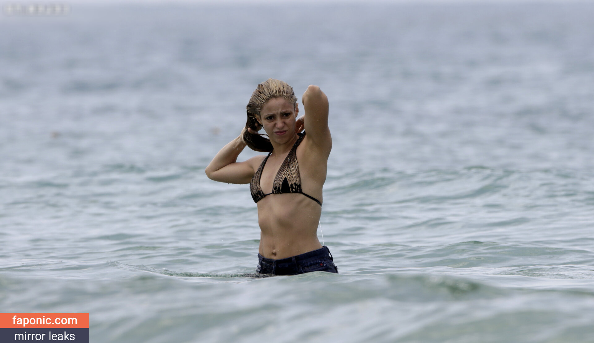 Shakira / @shakiraofficial / OnlyFans leaked nude photo
