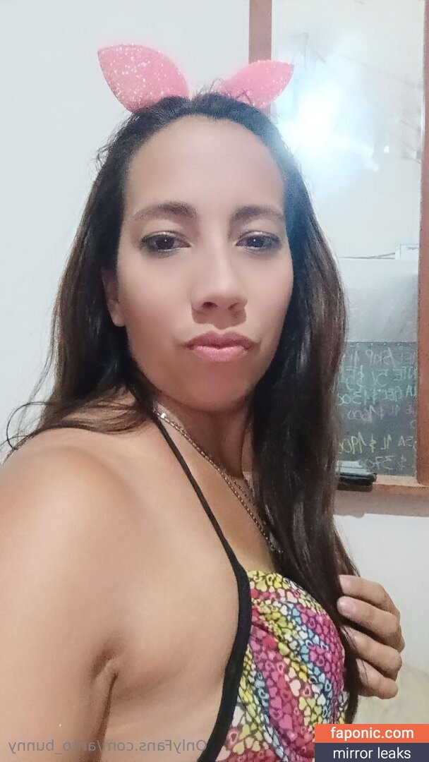 anto_bunny