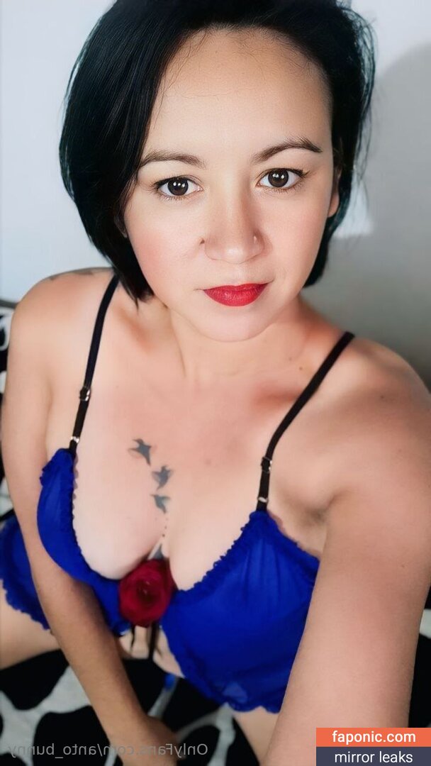 anto_bunny
