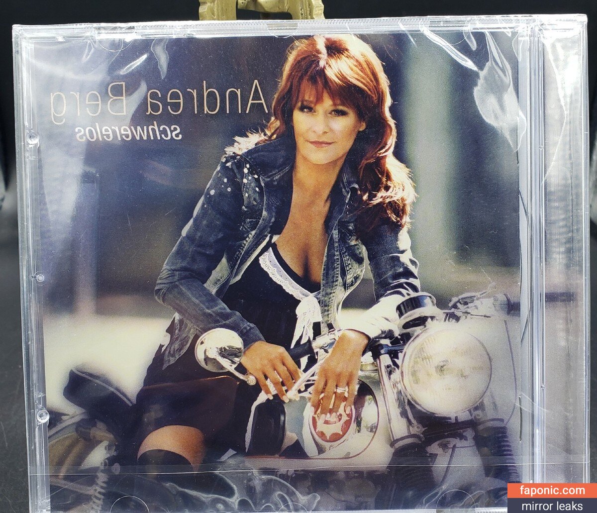 Andrea Berg nude leaks Photo #17