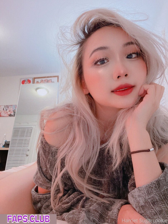 Harriet Sugarcookie nude leaks Photo #1