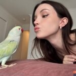 daintywilder