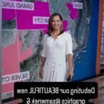 Ginger Zee